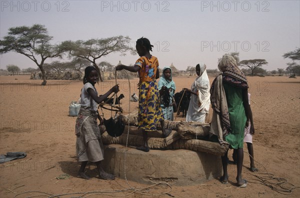SUDAN, Kordofan, North, Women and young girls drawing water from well in desert area with goat herd and village compound behind.