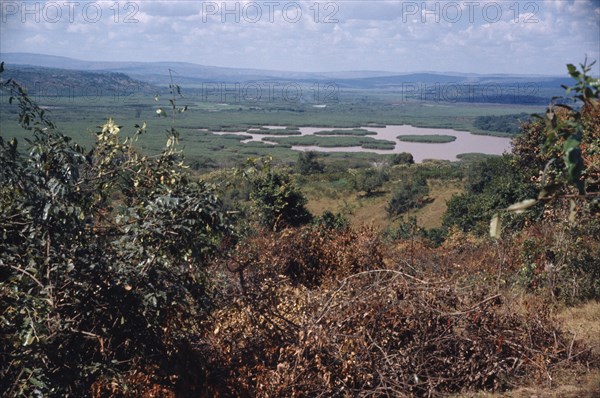 RWANDA, Landscape, Swamp landscape 100km east of Kigali.