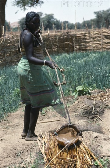 SUDAN, Mornei Settlement, Chadian refugee woman irrigating vegetable plot in wadi during the dry season.
