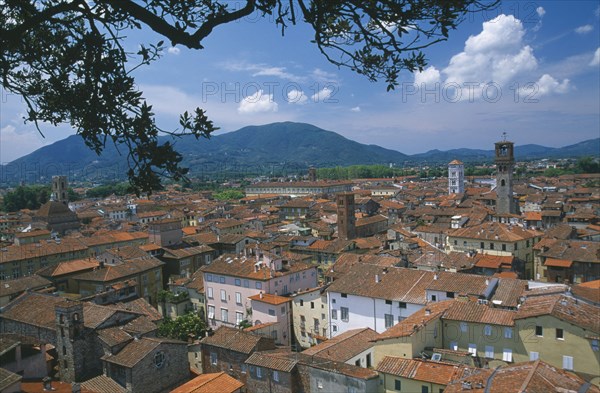 ITALY, Tuscany, Lucca, View across red tiled rooftops of town part framed by tree branches.