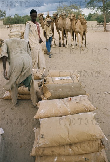 NIGER, People, Work, Drought relief milk powder being transported by camel train of 300 rather than by truck.