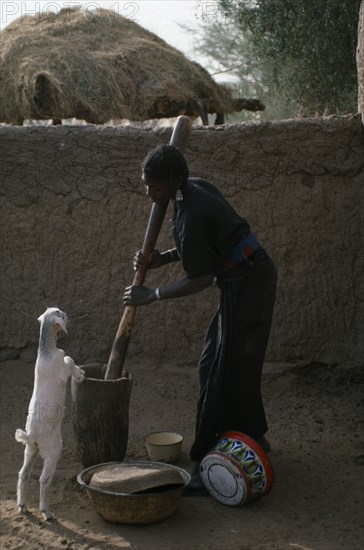 NIGER, Agriculture, Young woman pounding grain with goat kid standing up on hind legs against mortar.