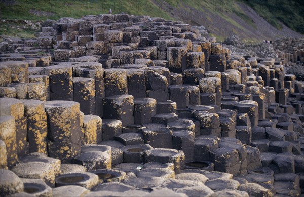 NORTHERN IRELAND, County Antrim, Giant’s Causeway, Rocky promontory of North West Moyle coast consisting of thousands of polygonal colimns of basalt attributed to rapidly cooling lava.