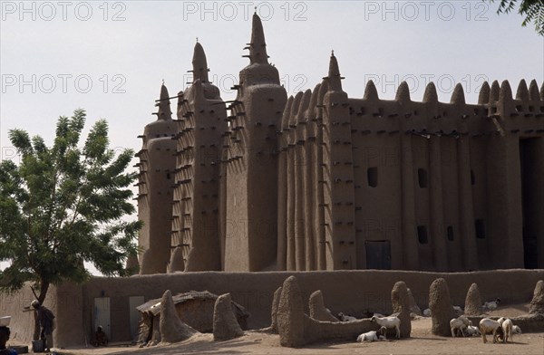 MALI, Sahel, Djenne, The Grand Mosque.  Mud plastered exterior with sheep lying in shade of walls in foreground.