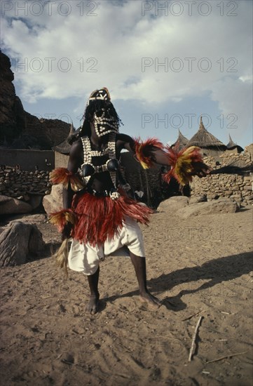 MALI, Ceremony, "Portrait of Dogon dancer wearing costume of short fringed red and yellow skirt, false breasts and mask decorated with cowrie shells."