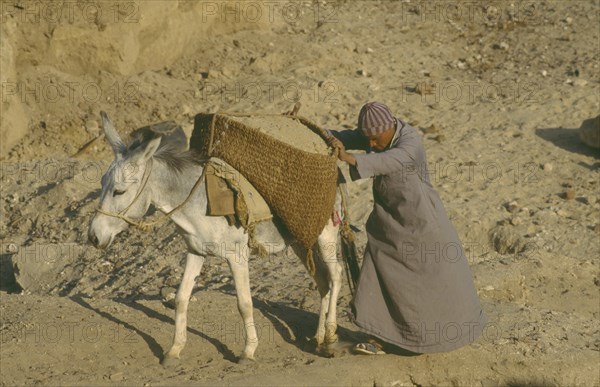 EGYPT, Nile Valley, Donkey laden with panniers of building materials supported by man as they walk along pathway.
