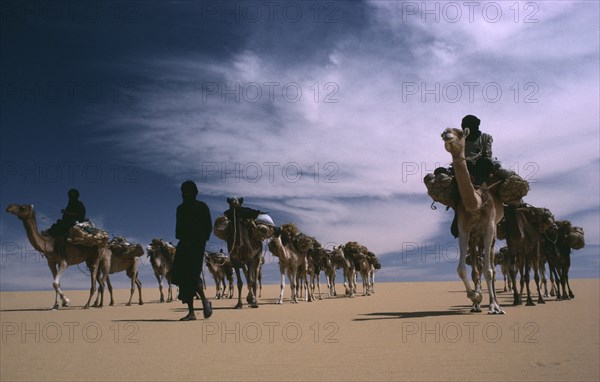 NIGER, Transport, Animals, Tuareg camel caravan.