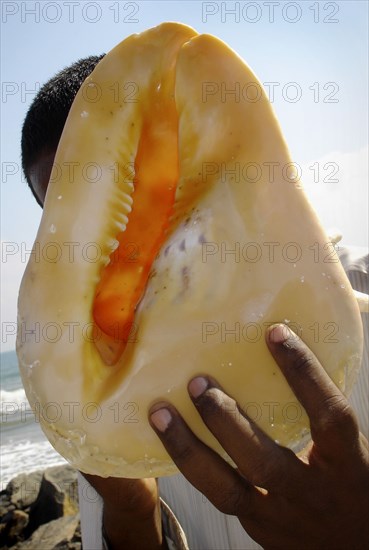 INDIA, Tamil Nadu, Mahabalipuram Beach, A 23-year-old engineering student and part-time sea-shell seller offers his wares on a tourist beach in southern India. On December 26th 2004 he was hit by the Indian Ocean Tsunami and survived by swimming for 20 minutes over submerged debris that cut into his legs and feet. Deep unhealed gashes remain on his feet.