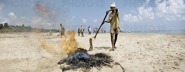 INDIA, Tamil Nadu, Auroville, A government-led clean-up operation takes place on Auroville beach approximately one month after the Indian Ocean Tsunami hit the south Indian coastline on December 26th 2004.