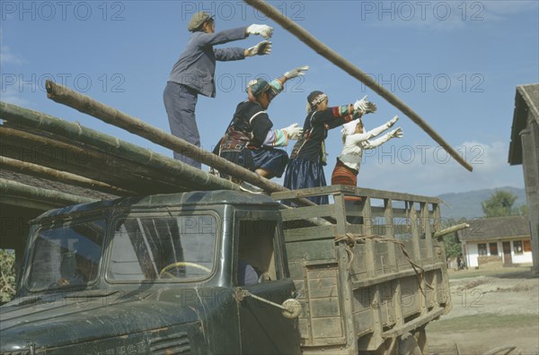 CHINA, Work, Tia minority women unloading bamboo from truck for use as roofing material.