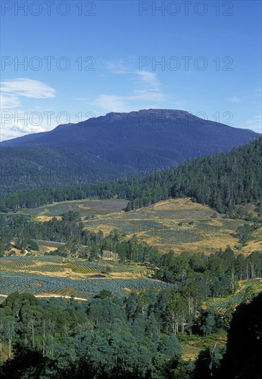 AUSTRALIA, "Tasmania,", Great Western Tiers, Logged slopes planted with new saplings. Deforestation is a big environmental and economic issue in this state.