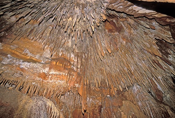 AUSTRALIA, Tasmania, "Stalactites at King Solomon's Cave in Mole Creek Karst National Park, the north."