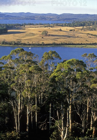 AUSTRALIA, Tasmania, Tamar Valley, "Looking north from Brady's Lookout State Reserve across the Tamar River in the state's premier wine region, the north."