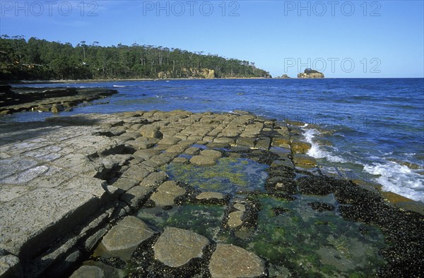 AUSTRALIA, Tasmania, "Tessallated Pavement, a wave-cut platform of horizontal strata on the Forestier Penninsula north of Pirates Bay at the south east tip of Tasmania."