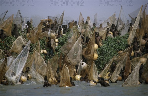 NIGERIA, North, Argungu, Fishing Festival.  Mass of men and nets at climax of three day festival.