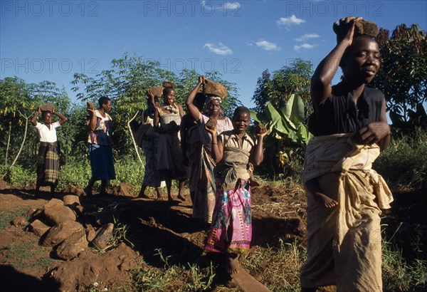 MALAWI, Mulanje, Bwanali village development committee road building project.  Women building access road.