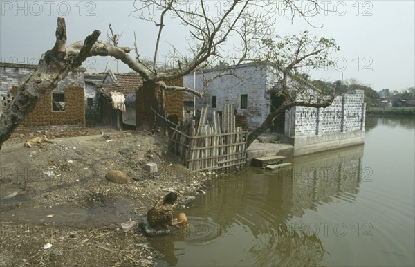 INDIA, West Bengal, Calcutta, Woman washing pot in polluted water of slum with dung used for fuel drying on walls of delapidated buildings behind.