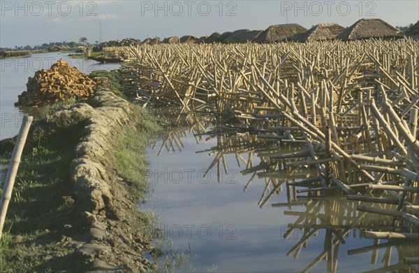 BANGLADESH, Chalna, Bamboo cages and bricks used to slow riverbank erosion.