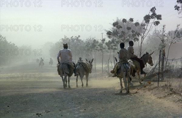 NIGERIA, Bouza, Desertification. People and donkeys on road in dust storm.