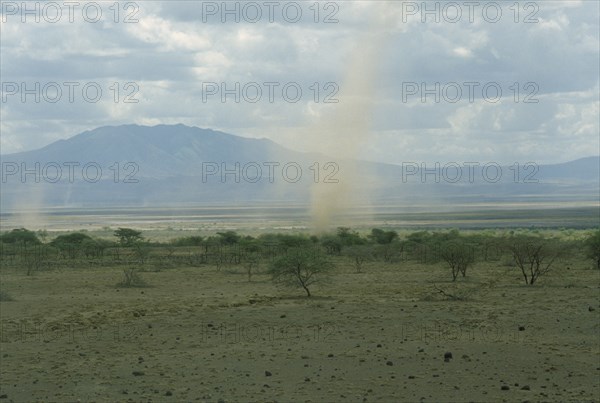 TANZANIA, Monduli Region, Eastern Rift Valley, Dust storm or ‘dust devil’ in dry acacia scrubland.