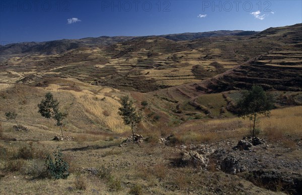 ERITREA, Landscape, Terraced hillsides and country road between Asmara and Keren.