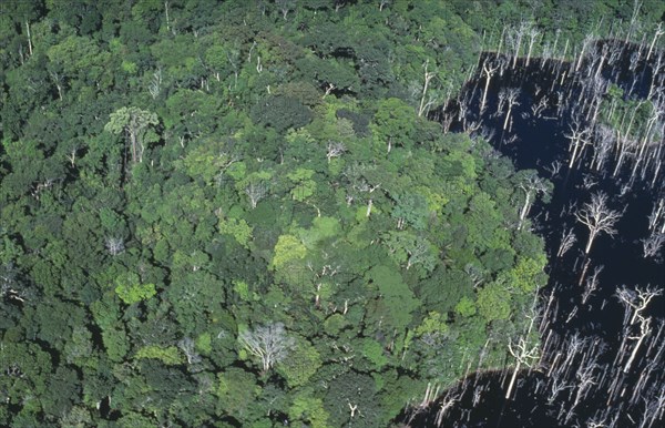 BRAZIL, Amazon, Para, Aerial view over tropical rainforest drowned by the Tucurui reservoir on the Tocantins River.