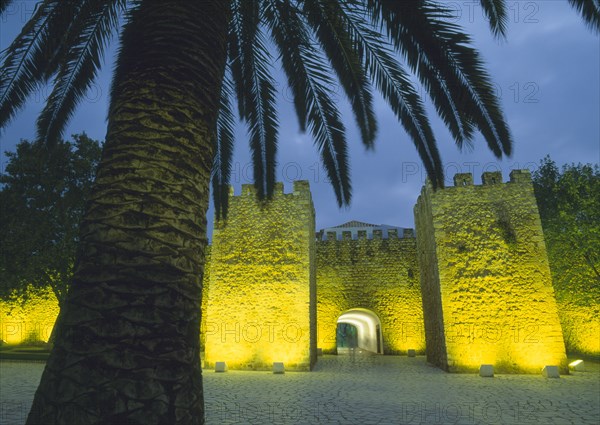 PORTUGAL, Algarve, Lagos, Medieval city gate of Forte Ponta da Bandeira illuminated at night with silhouetted palm tree in the foreground.