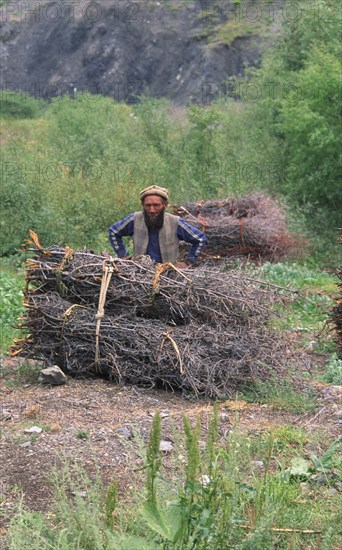 PAKISTAN, North West Frontier Province, Chitral, Hill dweller collecting wood.