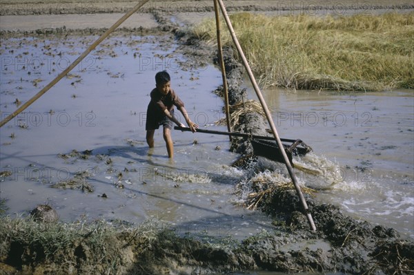 VIETNAM, Farming, Young boy operating irrigation device in rice paddies.