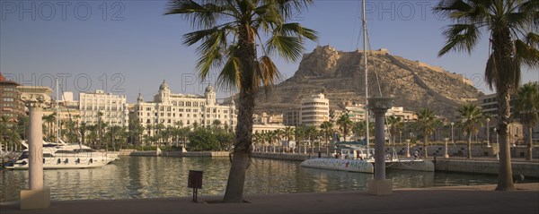 SPAIN, The Costa Blanca , Alicante, Panoramic view of Castillo de Santa Barbera from the port with palm trees in the foreground.