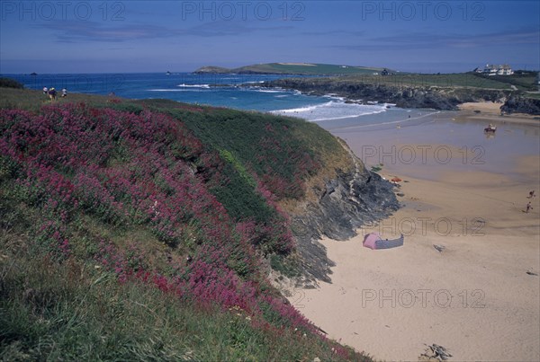 ENGLAND, Cornwall, Treyarvon Bay, Wild flowers on cliff top overlooking sandy beach and bay near Padstow.