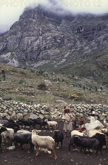 COLOMBIA, Santa Marta, Sierra Nevada , "Ica family with sheep in coral, rocks and mountain in the background."