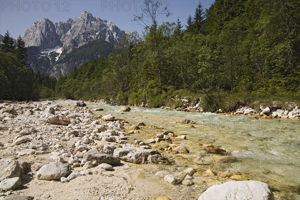 SLOVENIA , Kranjska Gora, Julian Alps, Looking along the Velika Pisnica towards Mount Prisank in the Julian Alps. There is still snow lying on the mountain after a severe winter