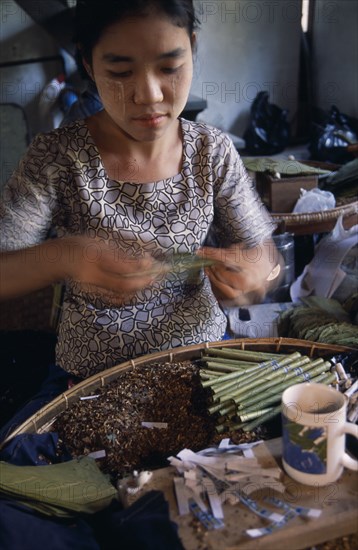 MYANMAR, Bago, Young female worker rolling cheroots by hand inside factory workplace.