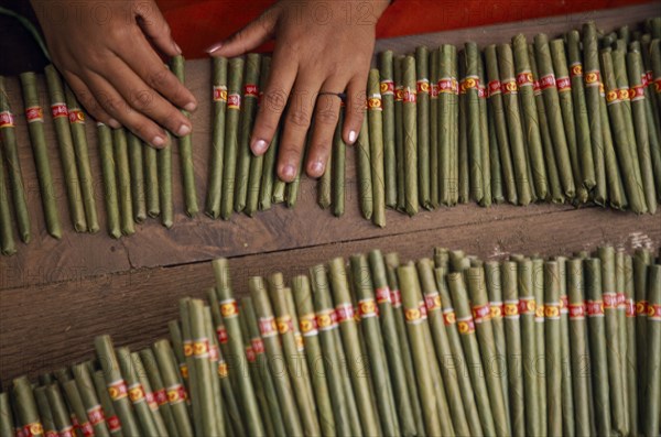 MYANMAR, Bago, Cropped shot looking down on hands of female worker in cheroot factory workplace.