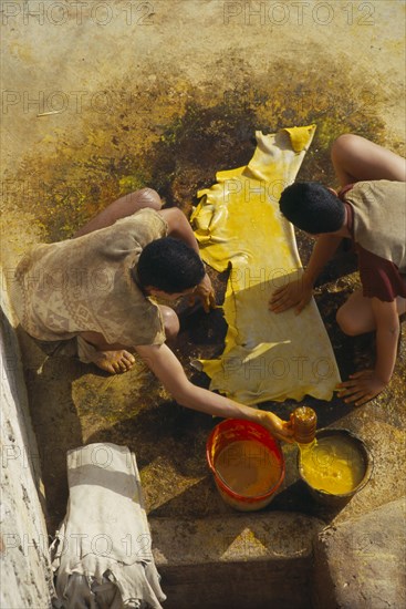 MOROCCO, Fes, Chouwara Tanneries.  Looking down on two men dyeing stretched and prepared hide yellow.