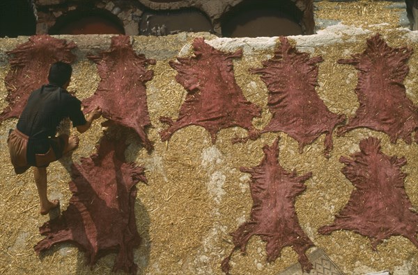 MOROCCO, Fes, Chouwara Tanneries.  Looking down on man gathering hides dyed red and stretched out to dry.