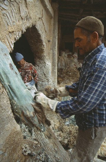 MOROCCO, Fes, Chouwara Tanneries.  Stripping fleece from skins before dyeing.