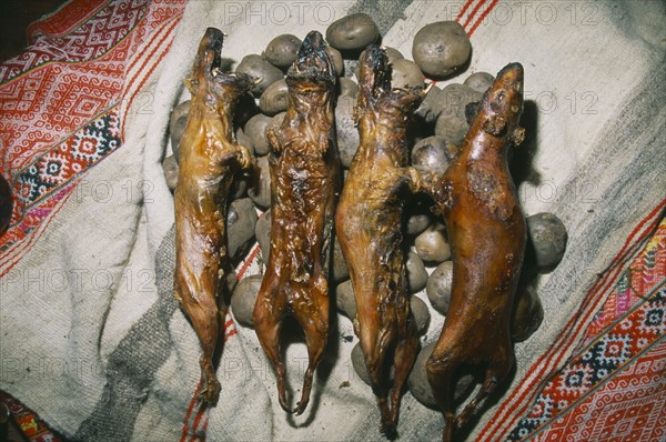 PERU, Andes, Cusco, "Cancha Cancha. Detail of cooked guinea pig and potatoes, traditional Andean food."