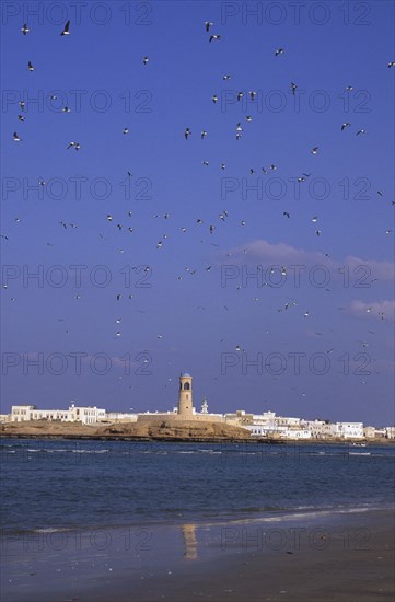 OMAN, Sur, Fort with sea-gulls and beach in the foreground.