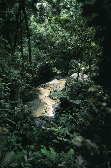 MALAYSIA, Perak Province, Cameron Highlands, Robinson Falls framed by tropical vegetation near Tanah Rata.