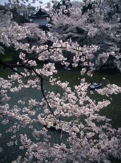 JAPAN, Honshu, Tokyo, Chidorigafuchi Park.  Boaters on lake beneath cherry blossom at Tayasu-mon gate on the north side of the Imperial Palace part seen behind.