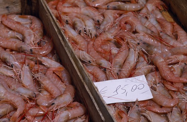 ITALY, Sicily, Catania, La Pescheria di Sant Agata. Fish market with detail of fresh Shrimp in trays on stall with a euro money price sign