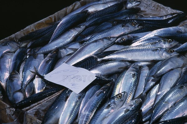 ITALY, Sicily, Catania, La Pescheria di Sant Agata. Fish market with detail of  fresh Mackerel and a euro money price sign