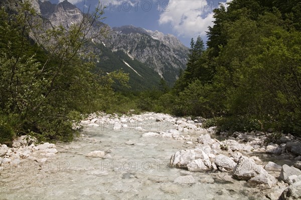 SLOVENIA , Triglav National Park, Julian Mountain Range, Looking along the Vrata Valley the longest valley in Slovenia - The River Bristica springs from the gravel at the foot of the mountain