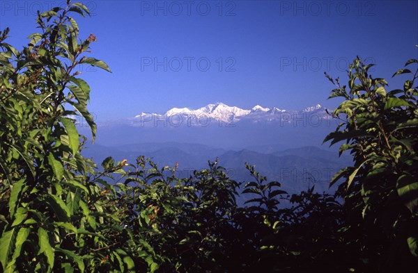 INDIA, West Bengal, Darjeeling, "View of Mount Kanchenjunga home of fine Indian tea, the old British hill station of Darjeeling commands spectacular views of the world's third highest mountain "