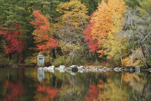 USA, New Hampshire, Sandwich, Autumn foliage on the shore of Squam Lake.