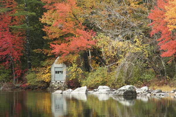 USA, New Hampshire, Sandwich, Autumn foliage on the shore of Squam Lake.