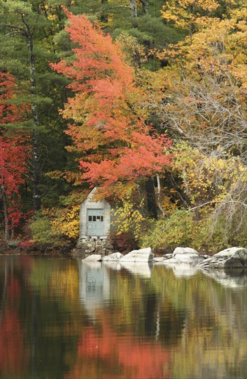 USA, New Hampshire, Sandwich, Autumn foliage on the shore of Squam Lake.