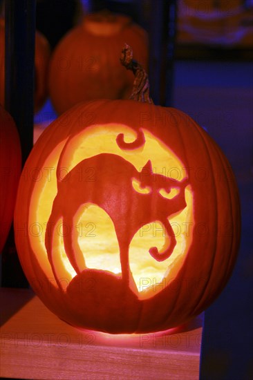 USA, New Hampshire, Keene, Pumpkin Festival